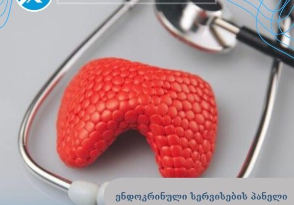 494537559_122225792120218069_202105073438645258_n